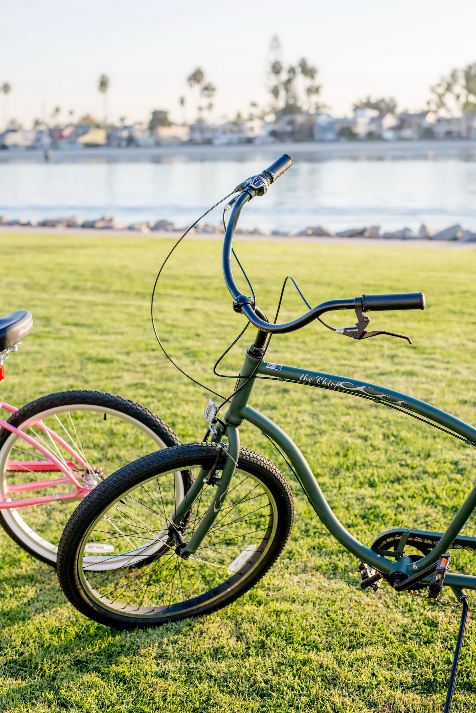 Firmstrong The Chief 7 Speed - Men's Beach Cruiser Bike - Image 5