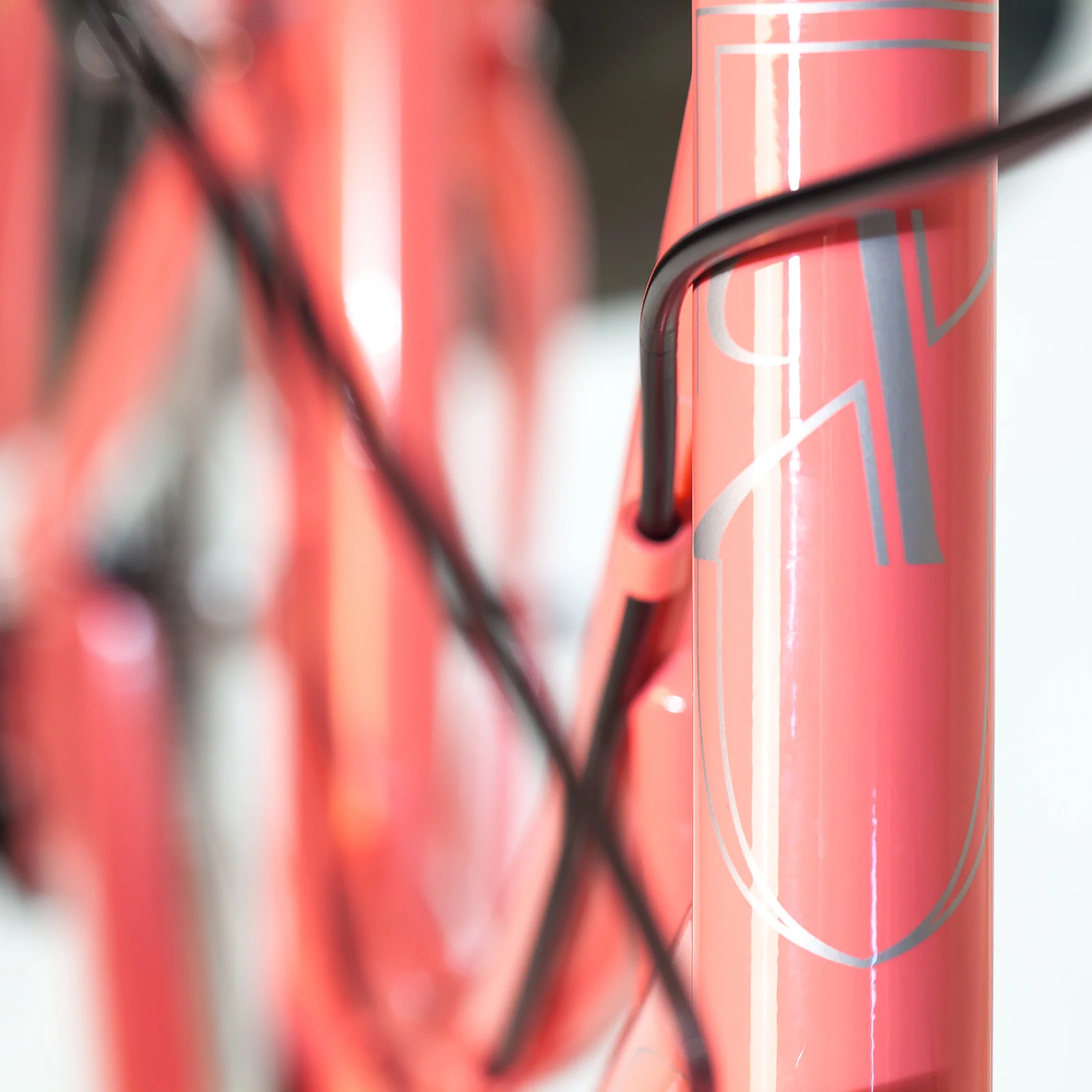 XDSBIKE Nadine 7sp Women's Step-Through City Bike // Pink Coral - Image 4